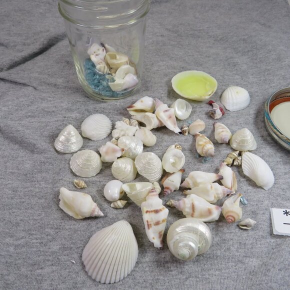 Jar of REAL sea shells and with blue sparkly vase filler at bottom - Picture 2 of 13